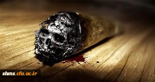 مضرات سیگار کشیدن 3