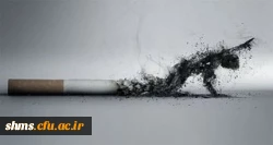 مضرات سیگار کشیدن 4