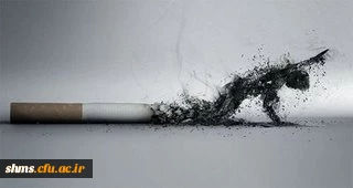 مضرات سیگار کشیدن 4