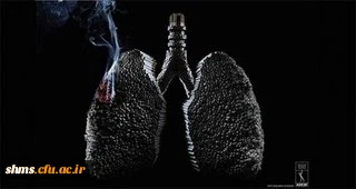 مضرات سیگار کشیدن 10