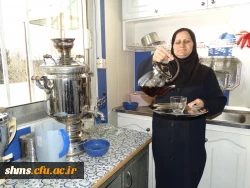 خانم خدیور(خدمات)