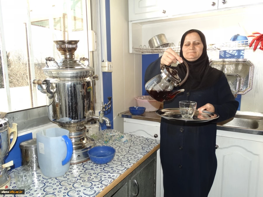 خانم خدیور(خدمات)