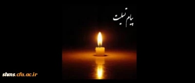 برادر گرامی جناب آقای محمد صدیق امینی