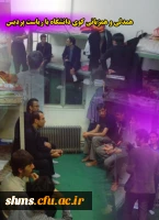 کوی دانشگاه2