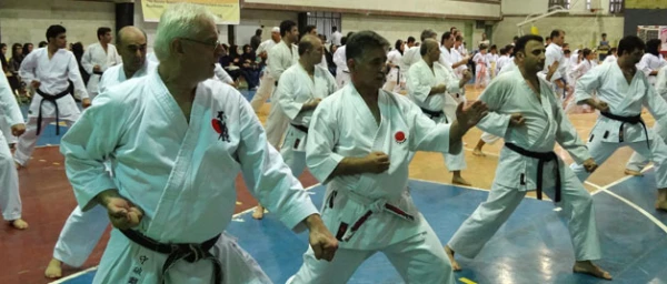 برگزاری استاژ فنی و حرفه ای کاراته سبک فودوکان 2