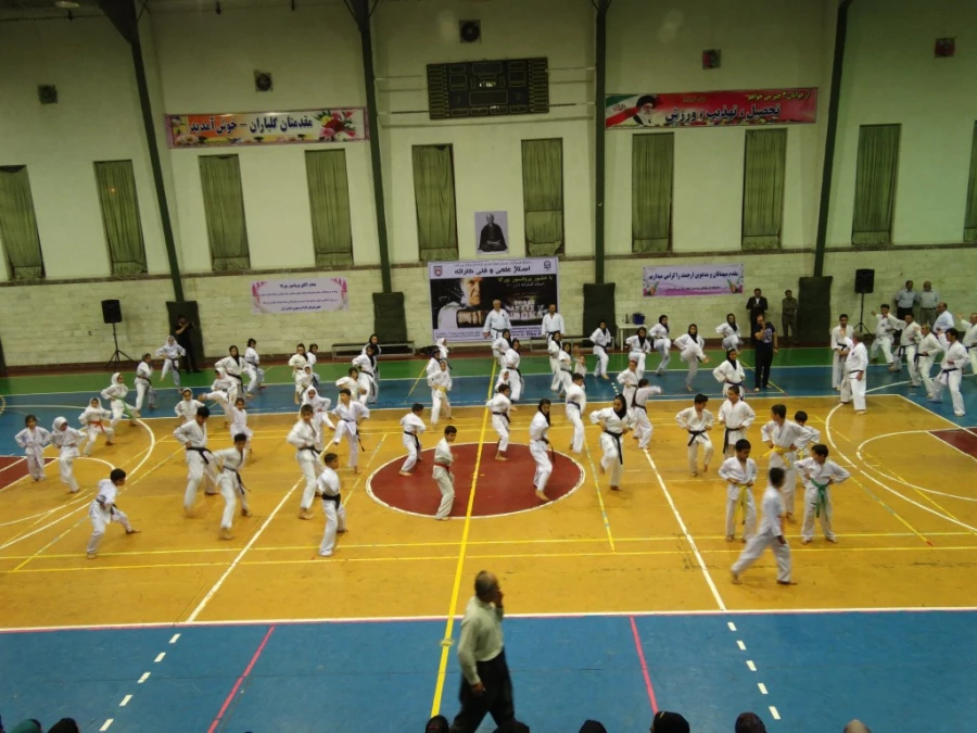 برگزاری استاژ فنی و حرفه ای کاراته سبک فودوکان 11