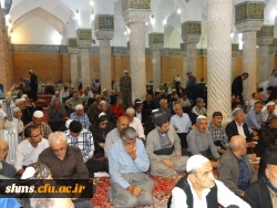 رئیس دانشگاه فرهنگیان کردستان خبر داد

اشتغال به تحصیل بیش2 هزار دانشجو در دانشگاه فرهنگیان کردستان/ورود خیرین به بازسازی پردیس بنت الهدی صدر
 16