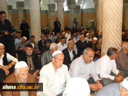 رئیس دانشگاه فرهنگیان کردستان خبر داد

اشتغال به تحصیل 2 هزار دانشجو در دانشگاه فرهنگیان کردستان/ورود خیرین به بازسازی پردیس بنت الهدی صدر
 7