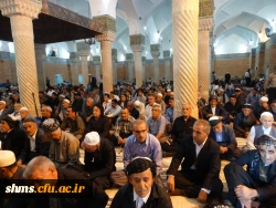 رئیس دانشگاه فرهنگیان کردستان خبر داد

اشتغال به تحصیل 2 هزار دانشجو در دانشگاه فرهنگیان کردستان/ورود خیرین به بازسازی پردیس بنت الهدی صدر
 9