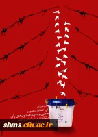 انتخابات به زبان تصویر 13