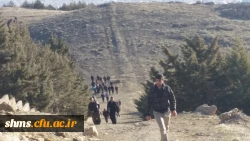 کوهپیمایی دانشجویان پردیس شهید مدرس به روایت تصویر 4
