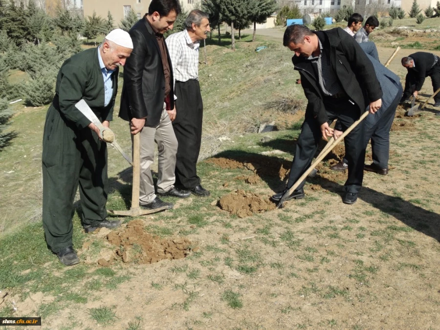 با حضور دکتر مسعود الماسی و همکاران پردیس شهید مدرس کردستان 

آیین درختکاری در محوطه زمین خاکی  دانشگاه برگزار شد. 4