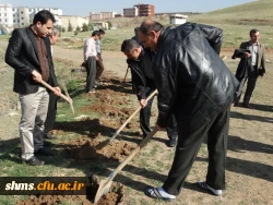 با حضور دکتر مسعود الماسی و همکاران پردیس شهید مدرس کردستان 

آیین درختکاری در محوطه زمین خاکی  دانشگاه برگزار شد. 5