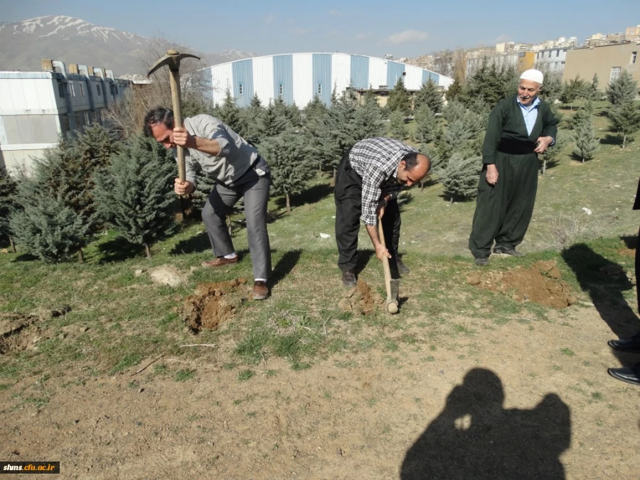 با حضور دکتر مسعود الماسی و همکاران پردیس شهید مدرس کردستان 

آیین درختکاری در محوطه زمین خاکی  دانشگاه برگزار شد. 6