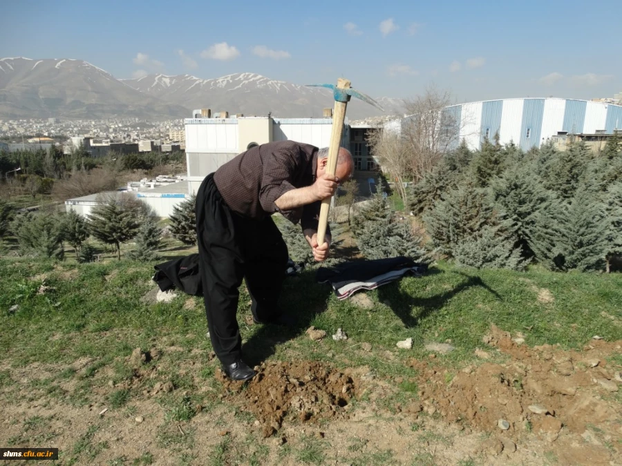 با حضور دکتر مسعود الماسی و همکاران پردیس شهید مدرس کردستان 

آیین درختکاری در محوطه زمین خاکی  دانشگاه برگزار شد. 9