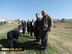 با حضور دکتر مسعود الماسی و همکاران پردیس شهید مدرس کردستان 

آیین درختکاری در محوطه زمین خاکی  دانشگاه برگزار شد. 11
