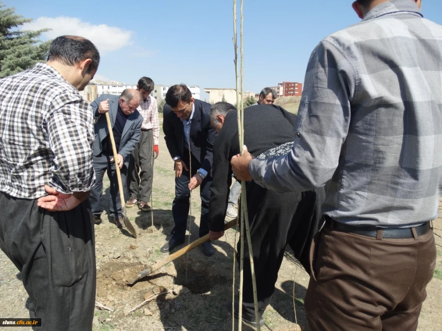 با حضور دکتر مسعود الماسی و همکاران پردیس شهید مدرس کردستان 

آیین درختکاری در محوطه زمین خاکی  دانشگاه برگزار شد. 13