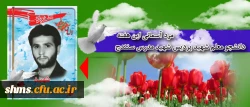 مرد آسمانی:
 
شهید مصطفی پهلوان  2