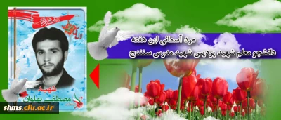 مرد آسمانی:

 شهید مصطفی پهلوان