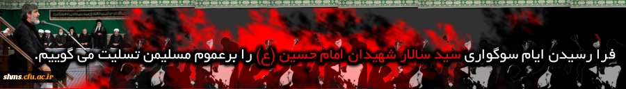 سالار شهیدان