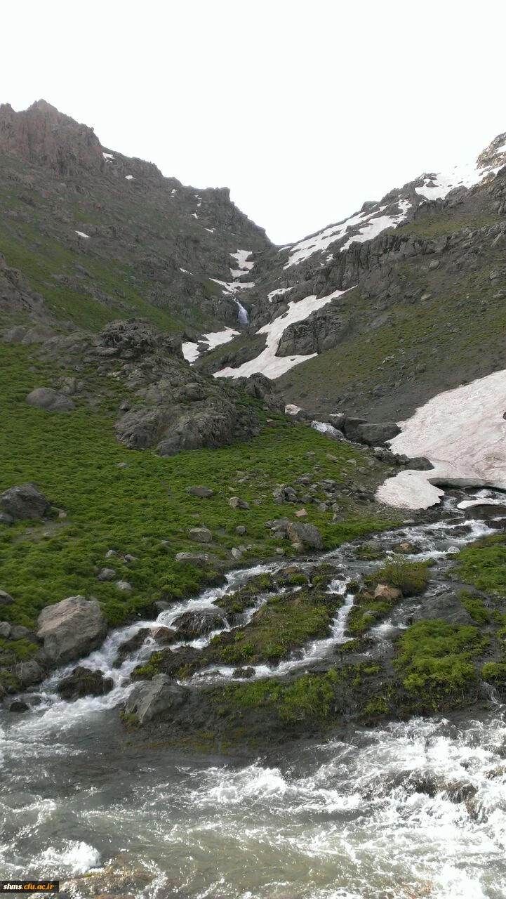 عضو گیری کانون کوهنوردی و پیاده روی پردیس شهید مدرس کردستان 3