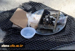 مراسم برگزاری بدرقه دانشجویان پردیس شهید مدرس سنندج  برای شرکت در اربعین حسینی