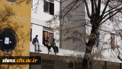 برگزاری مسابقه طناب کشی  به مناسبت گرامیداشت روز دانشجو 13