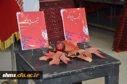 سومین نشست تخصصی شعر و داستان با شکوه خاصی برگزار شد 76