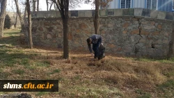 حرکت تحسین برانگیز دانشجویان به مناسبت هفته وحدت