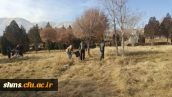 حرکت تحسین برانگیز دانشجویان به مناسبت هفته وحدت