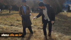 حرکت تحسین برانگیز دانشجویان به مناسبت هفته وحدت 10