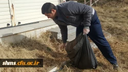 حرکت تحسین برانگیز دانشجویان به مناسبت هفته وحدت 12