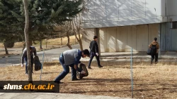 حرکت تحسین برانگیز دانشجویان به مناسبت هفته وحدت