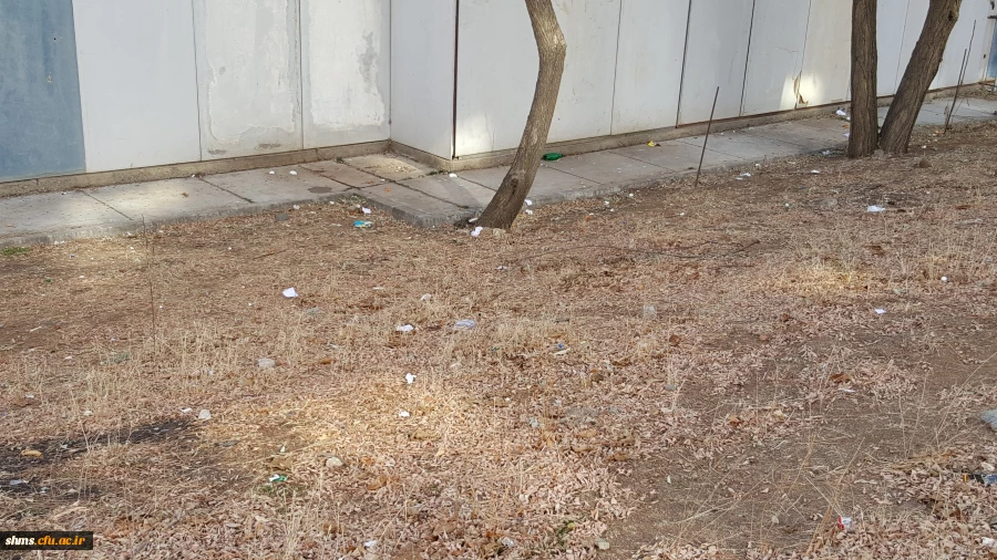 حرکت تحسین برانگیز دانشجویان به مناسبت هفته وحدت 29