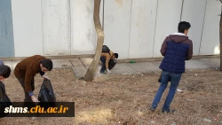 حرکت تحسین برانگیز دانشجویان به مناسبت هفته وحدت