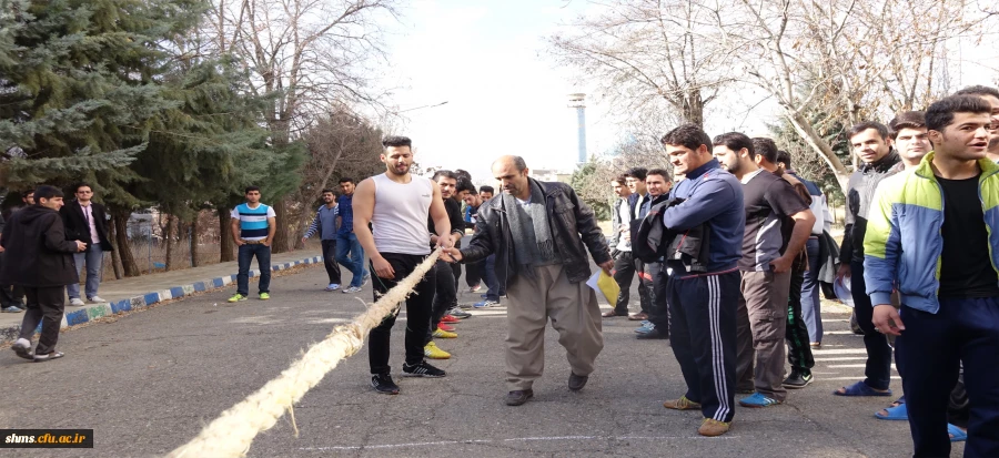 دانشگاه به روایت تصویر