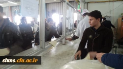 توزیع غذا توسط اعضای کانون سلامت و شورای صنفی پردیس شهید مدرس سنندج