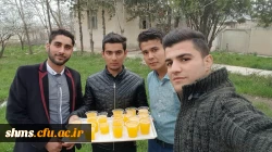 ایستگاه صلوانی