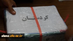 در پردیس شهید مدرس کردستان برگزار شد؛

آزمون اصلح مهارت آموزان ماده 28 ورودی 1395 21