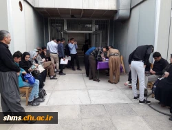 درراستای ثبت نام دانشجویان جدید الورود

بازدید مسئولین دانشگاه از روند و چگونگی مراحل ثبت نام دانشجویان جدیدالورود (به روایت تصویر ) 2