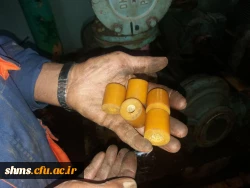 شب گذشته به همت مدیریت استانی و همکاران خدوم دانشگاه سیستم گرمایش پردیس راه اندازی شد 6