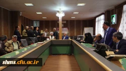 در سالن جلسات پردیس شهید مدرس برگزار شد:

انتخابات مدیران گروه های آموزشی پردیس های دانشگاه فرهنگیان استان کردستان 6