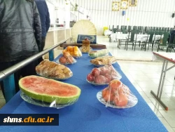 در پردیس شهید مدرس برگزار شد؛

سفره ارایی شب یلدا در دانشگاه فرهنگیان استان کردستان  4