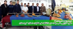 در پردیس شهید مدرس برگزار شد؛

سفره ارایی شب یلدا در دانشگاه فرهنگیان استان کردستان  2