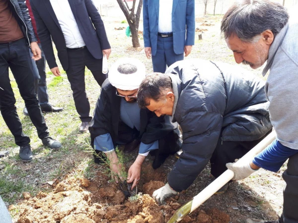 با حضور اعضای شورای راهبری قطب سه فرهنگی و اجتماعی ؛

در دانشگاه فرهنگیان کردستان به یاد 23 دانشجو معلم شهید 23 نهال غرس کردند
 3