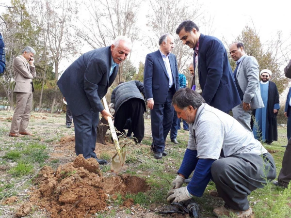 با حضور اعضای شورای راهبری قطب سه فرهنگی و اجتماعی ؛

در دانشگاه فرهنگیان کردستان به یاد 23 دانشجو معلم شهید 23 نهال غرس کردند
 2