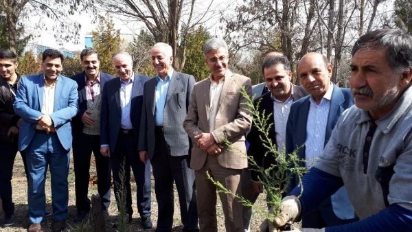 با حضور اعضای شورای راهبری قطب سه فرهنگی و اجتماعی ؛

در دانشگاه فرهنگیان کردستان به یاد 23 دانشجو معلم شهید 23 نهال غرس کردند
 4