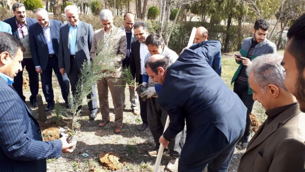 با حضور اعضای شورای راهبری قطب سه فرهنگی و اجتماعی ؛

در دانشگاه فرهنگیان کردستان به یاد 23 دانشجو معلم شهید 23 نهال غرس کردند
 5