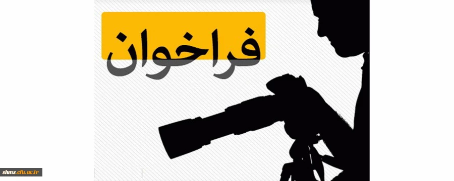 492456_2960698368_500_333