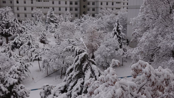 روز برفی دانشگاه فرهنگیان کردستان 4